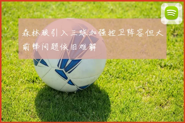 森林狼引入三球加强控卫阵容但大前锋问题依旧难解
