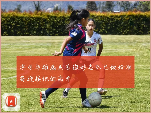 字母与雄鹿关系微妙各队已做好准备迎接他的离开