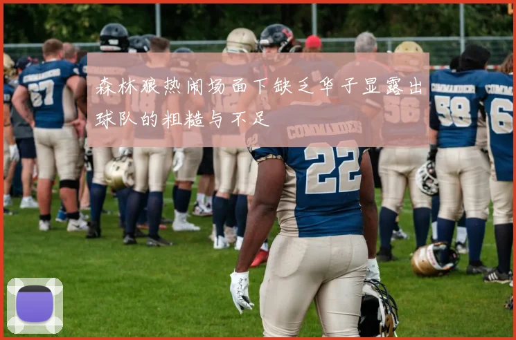 森林狼热闹场面下缺乏华子显露出球队的粗糙与不足